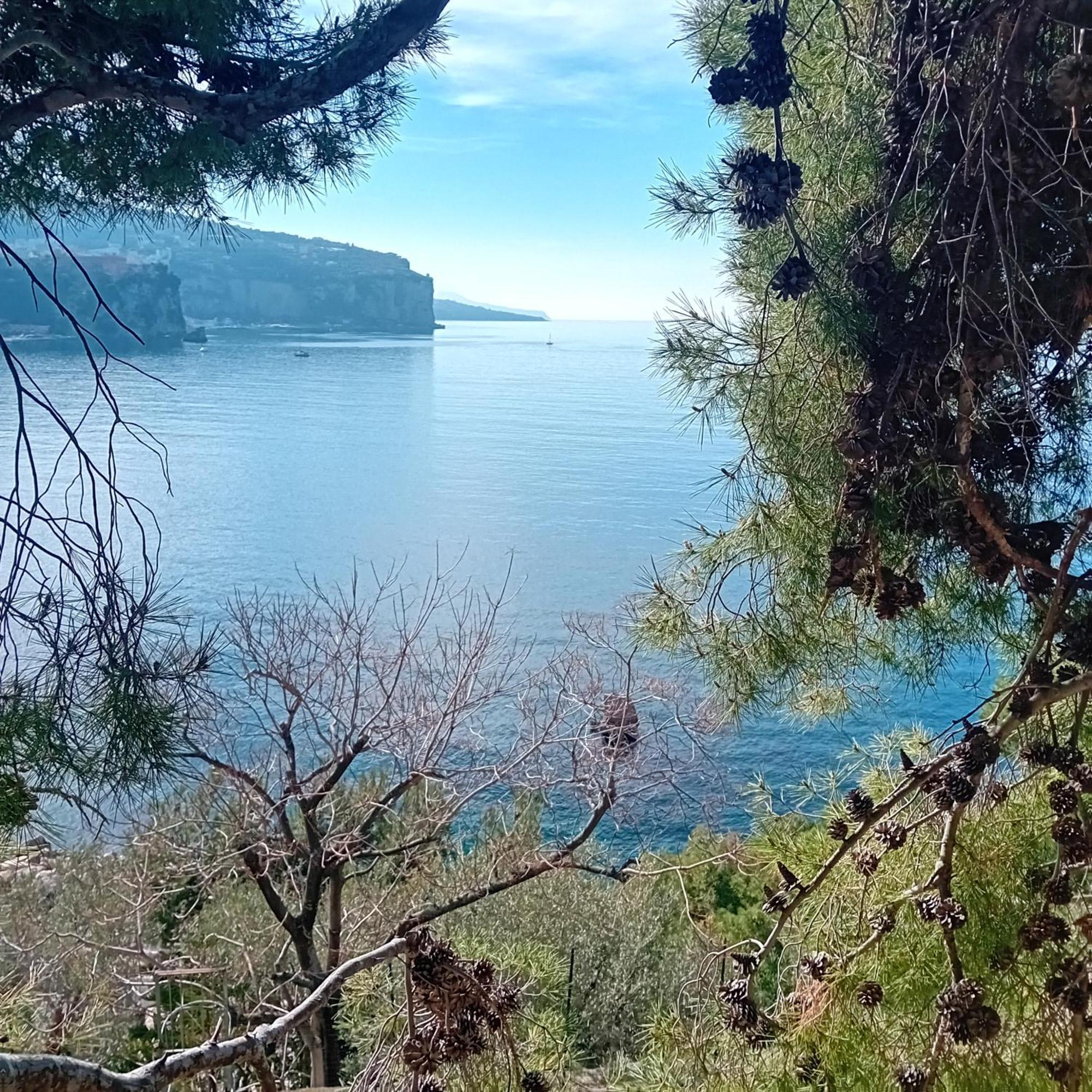 Villa La Galetta Вико-Экуенсе Экстерьер фото