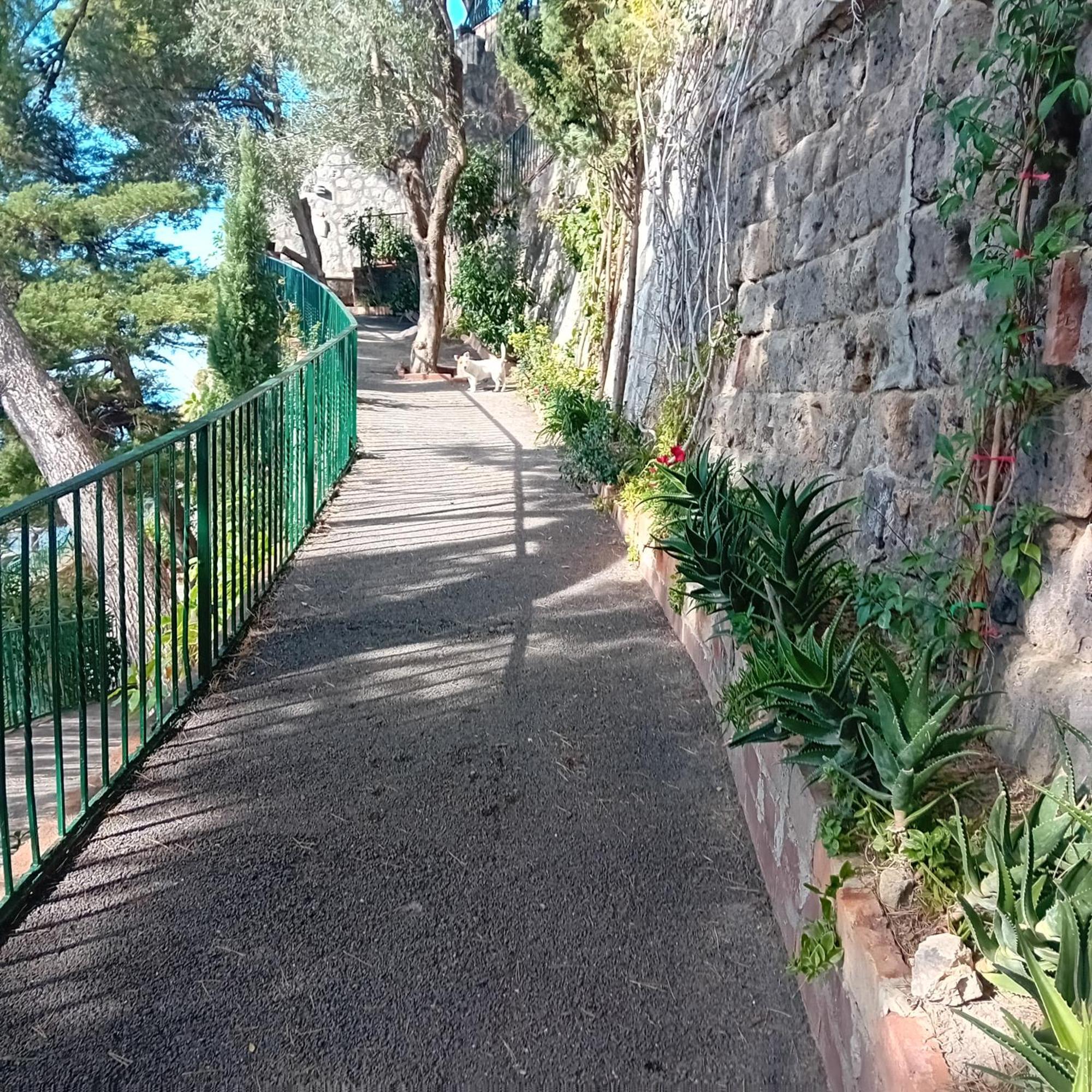 Villa La Galetta Вико-Экуенсе Экстерьер фото